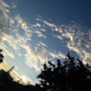 Meet your Posher, Jarea